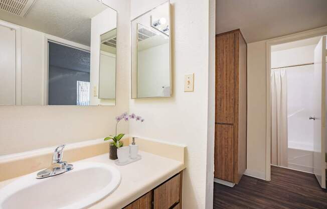 A bathroom with a sink, mirror, and wooden cabinet.