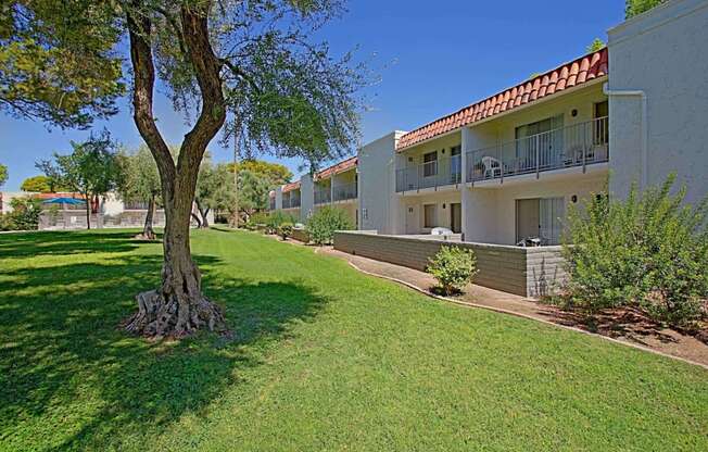 the view of the apartments from the yard