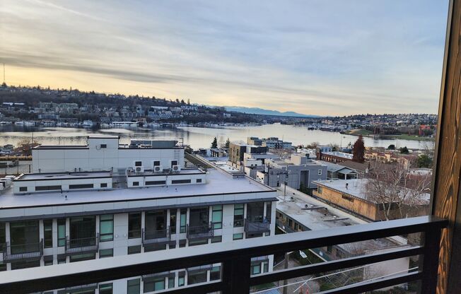 1 bed, 1 bath, 385 sqft, $1,795, Unit 206