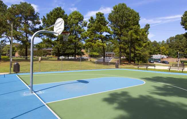 basketball court