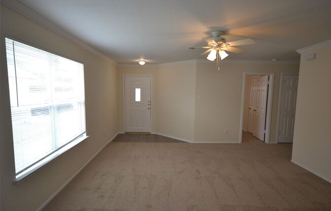 Beautifully Renovated Single-Story Gem in Leander