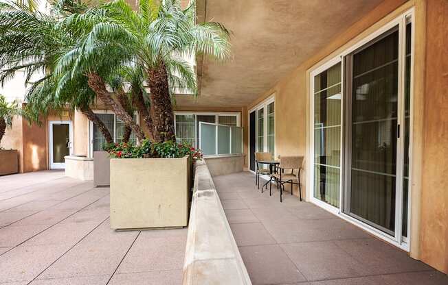 a patio with a table and chairs and a palm tree