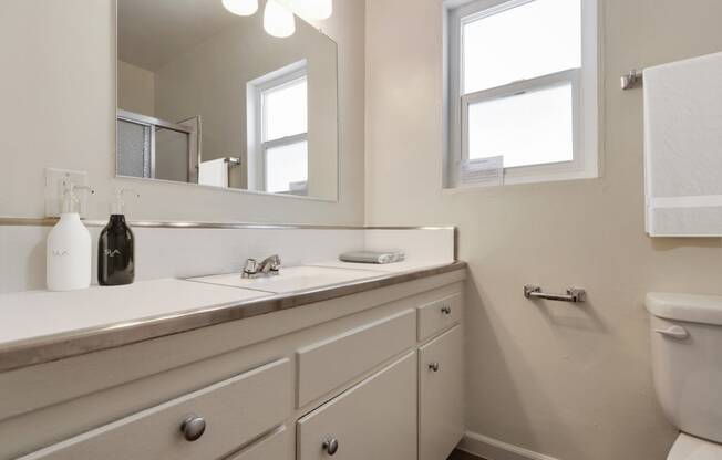 a bathroom with a sink and a mirror and a toilet