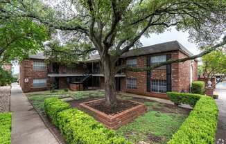 A tree in a planter is in front of a brick building.
