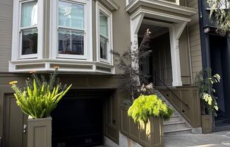Gorgeous and Spacious Home next to Dolores Park!