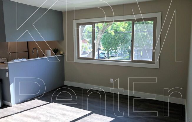 1 bed, 1 bath, 520 sqft, $1,295, Unit 106