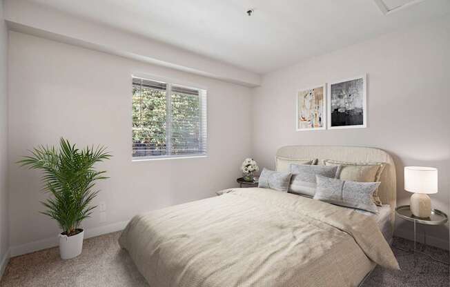 A bedroom with a large bed and a potted plant.