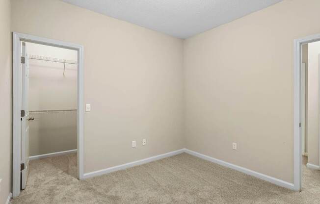 A room with a carpeted floor and a closet with a white door.