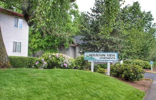 801 - Mountain View