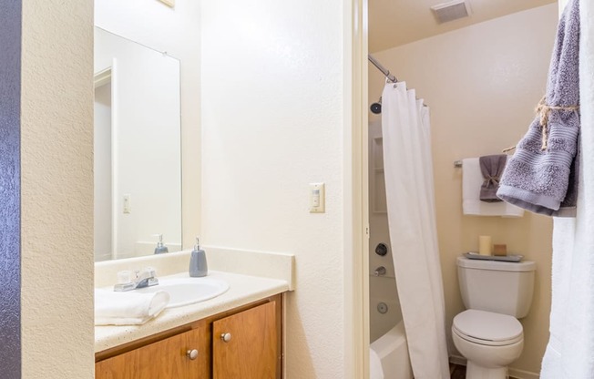 Enclave bathroom with large sink with drawers and nice shower