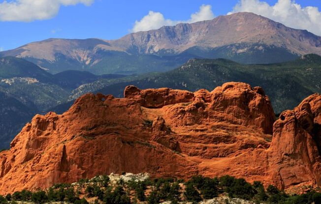 2 beds, 1 bath, 835 sqft, $1,495, Unit 514 Apt. H
