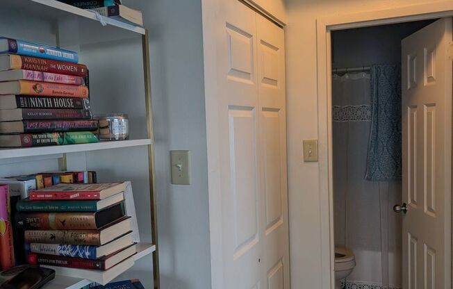 1 bed, 1 bath, 570 sqft, $3,100, Unit 1708