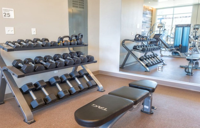 Free weights and bench in fitness center