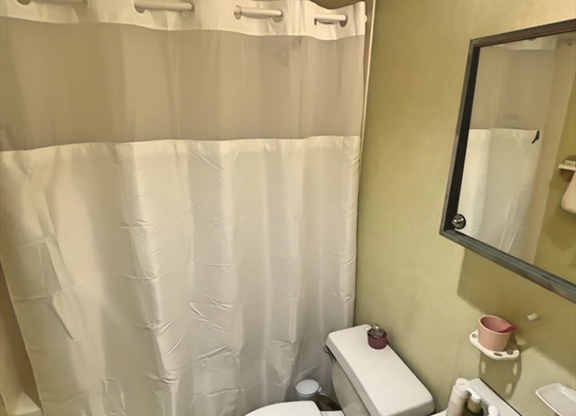 Studio, 1 bath, 500 sqft, $2,500, Unit 1110