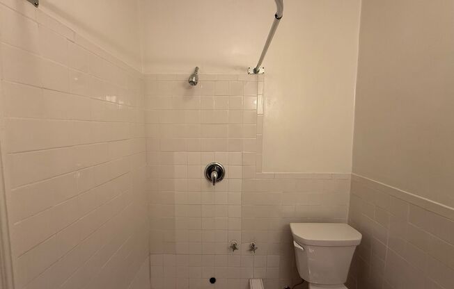 Studio, 1 bath, 294 sqft, $1,225, Unit New King Edward 710