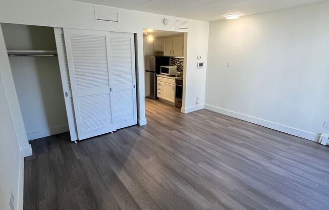 Studio, 1 bath, 300 sqft, $895, Unit 141W