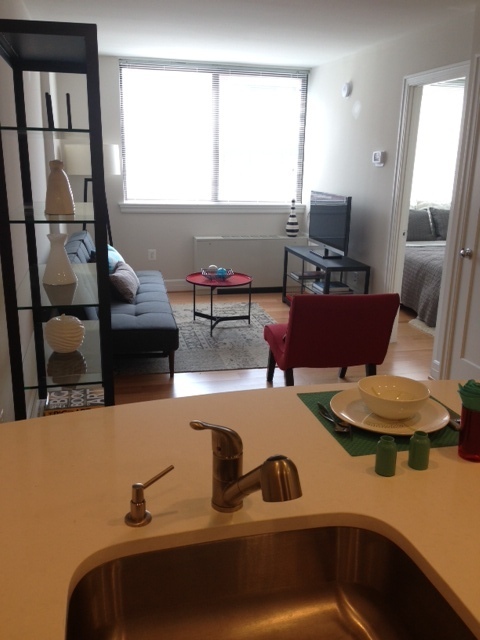 1 bed, 1 bath, $2,295, Unit 0110