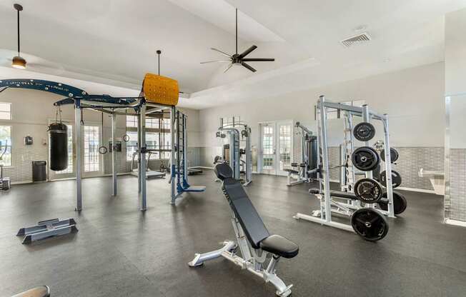 A gym with a variety of equipment including weights and a bench.