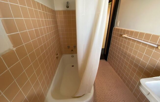 1 bed, 1 bath, 486 sqft, $1,155, Unit 316-911