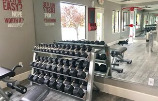 Free Weights