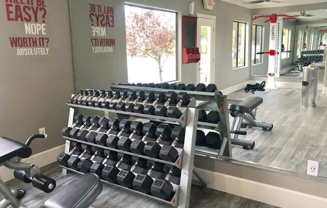 Free Weights