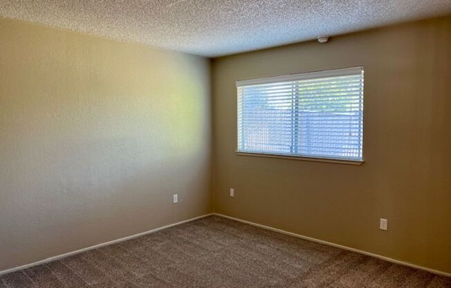 1 bed, 1 bath, 700 sqft, $1,500, Unit 90