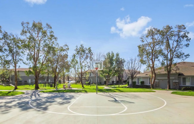 Onsite Outdoor Basketball Court