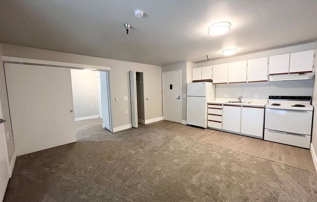1 bed, 1 bath, 480 sqft, $1,395, Unit 213