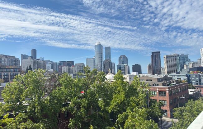 1 bed, 1 bath, 606 sqft, $2,699, Unit 609
