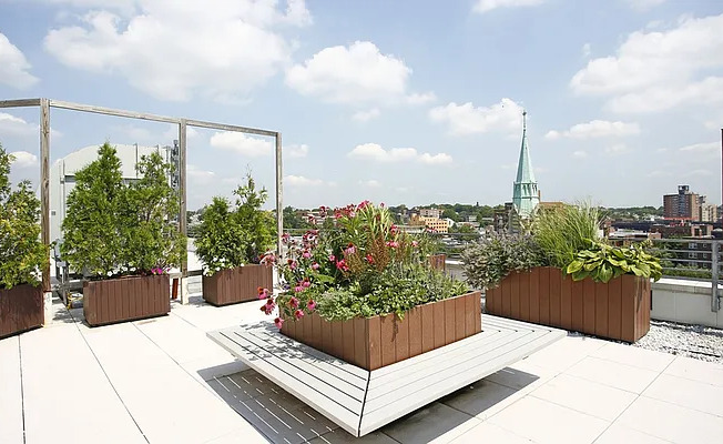 Studio, 1 bath, $2,688, Unit 1017