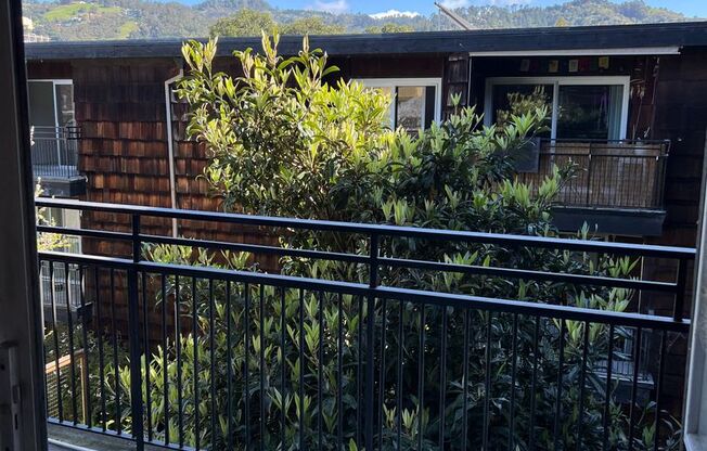 1 bed, 1 bath, $2,550, Unit 304