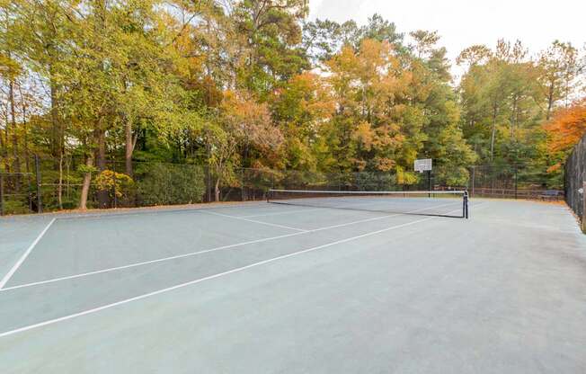 A tennis court that also has basketball goals surrounded by trees