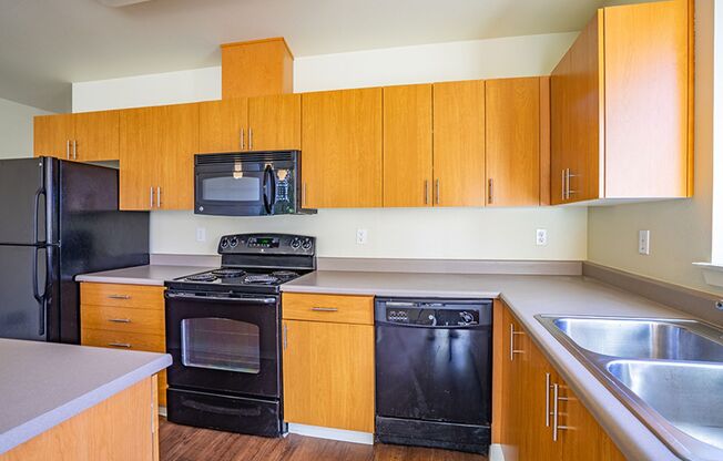 1 bed, 1 bath, 646 sqft, $1,995, Unit 307