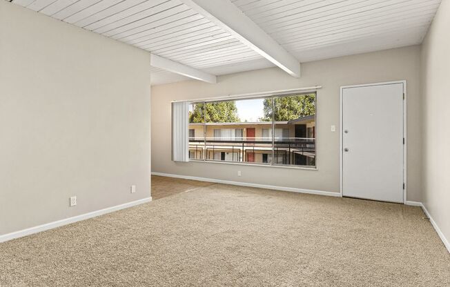 Welcome to Coliseum Apartments