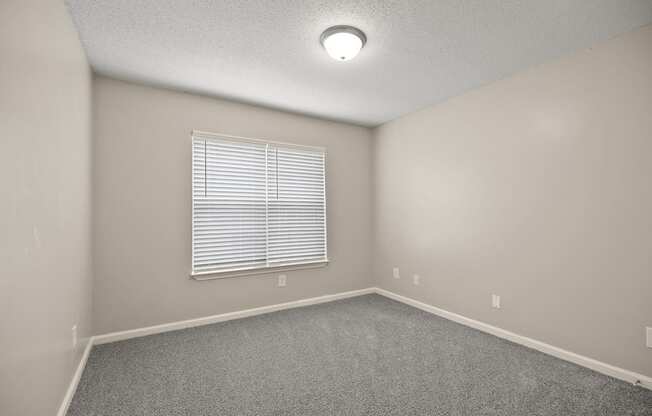 A room with a window and a carpeted floor.