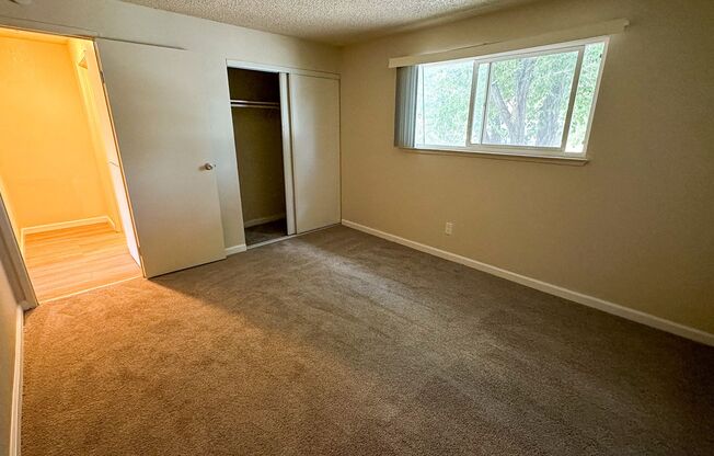 1 bed, 1 bath, 650 sqft, $1,245