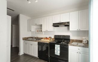 Belara Lakes Apartments in Tampa Florida photo of kitchen