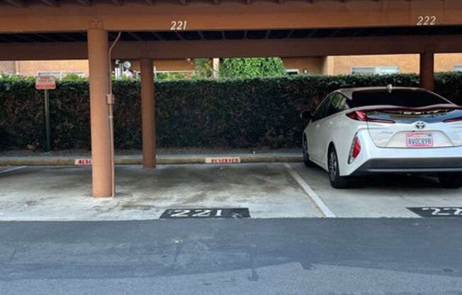 1 bed, 1 bath, 754 sqft, $2,595, Unit Warner #216