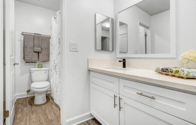 a bathroom with a sink and a toilet