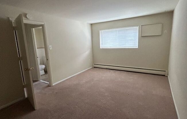 1 bed, 1 bath, $1,250, Unit 207