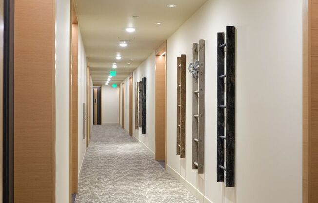 1 bed, 1 bath, 556 sqft, $2,699, Unit 517