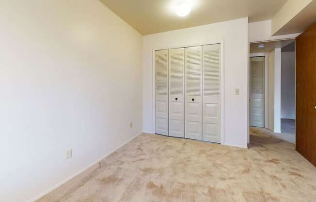 bedroom with a closet and plush carpeting