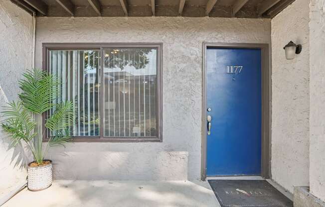 the front door of a building with a blue door and a potted plant