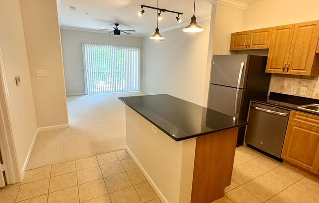 One-bedroom Condo Located at Bryson At Woodland Park - 12945 Centre Park Circle #205