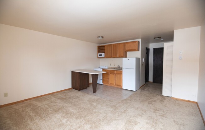 Studio, 1 bath, 300 sqft, $1,070, Unit 102-213