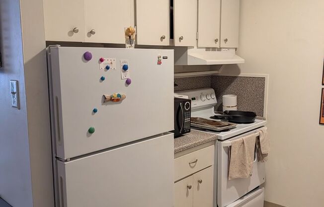 1 bed, 1 bath, 606 sqft, $2,900, Unit 505