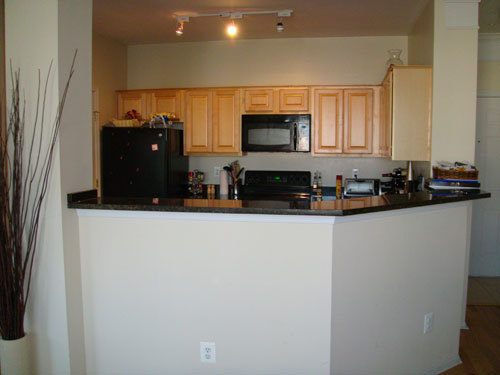 Awesome 3 bedroom condo walk to metro