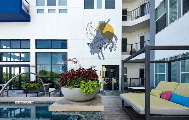 a large potted plant in front of a swimming pool