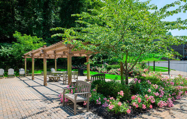 a park with benches and a wooden canopy
