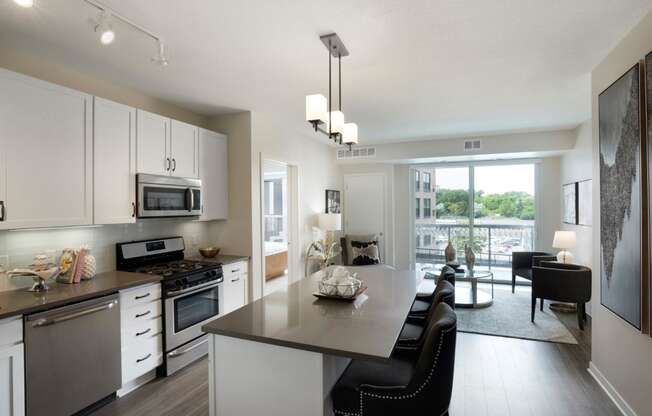 Modern Kitchen Gray Euro Style Cabinets at Residences at 1700, Minnetonka, MN